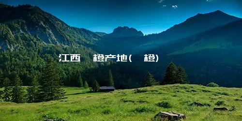 江西赣橙产地(赣橙)