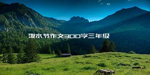 泼水节作文300字三年级