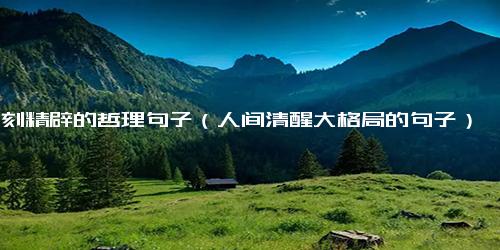 深刻精辟的哲理句子（人间清醒大格局的句子）