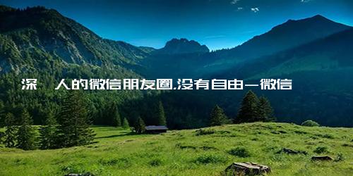深圳人的微信朋友圈，没有自由-微信