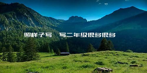 照样子写一写二年级很多很多