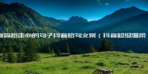 父爱简短走心的句子抖音短句文案（抖音超级温柔的文案）