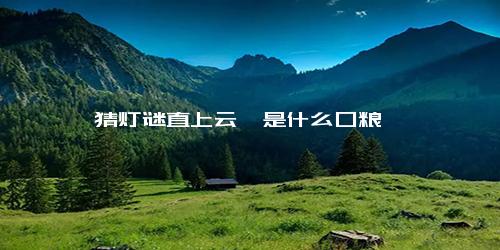 猜灯谜直上云霄是什么口粮