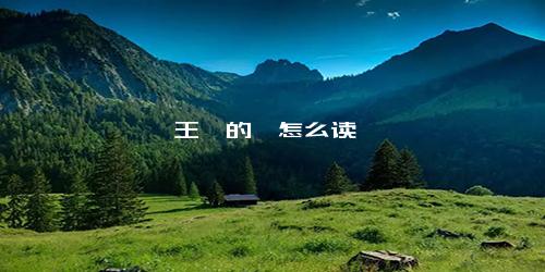 王莘的莘怎么读