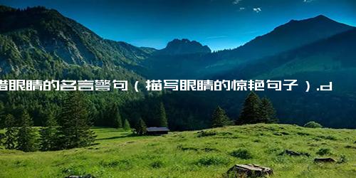 珍惜眼睛的名言警句（描写眼睛的惊艳句子）.docx-免费下载(word版可打印)