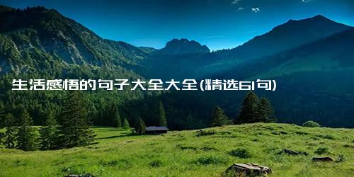 生活感悟的句子大全大全(精选61句)