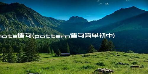 用note造句(pattern造句简单初中)