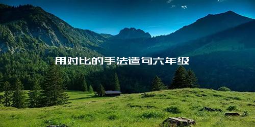 用对比的手法造句六年级