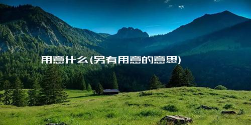 用意什么(另有用意的意思)