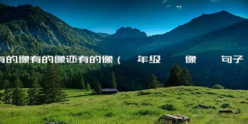 用有的像有的像还有的像（一年级――像――句子）
