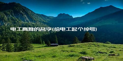 电工高雅的名字(给电工起个绰号)