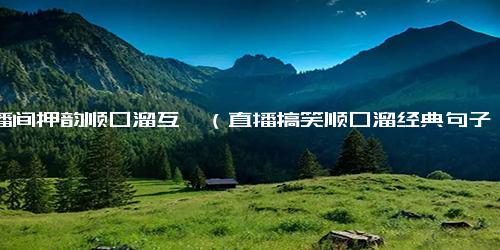 直播间押韵顺口溜互怼（直播搞笑顺口溜经典句子）