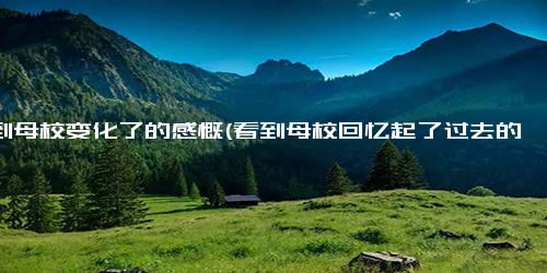看到母校变化了的感慨(看到母校回忆起了过去的句子)