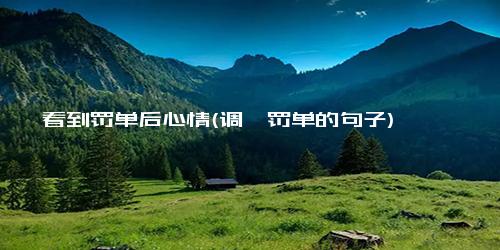 看到罚单后心情(调侃罚单的句子)