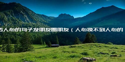 看透人心的句子发朋友圈朋友（人心换不到人心的句子）