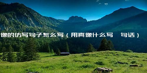真像的仿写句子怎么写（用真像什么写一句话）