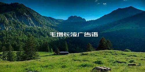 睫毛增长液广告语