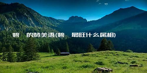 碧玺的赞美语(碧玺最旺什么属相)