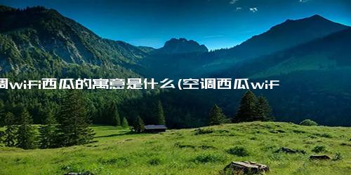 空调wifi西瓜的寓意是什么(空调西瓜wifi段子说说)