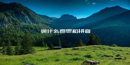 窠巢什么意思和拼音