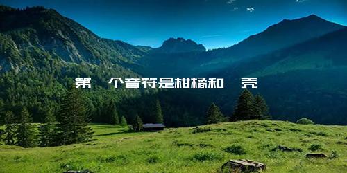 第一个音符是柑橘和枳壳