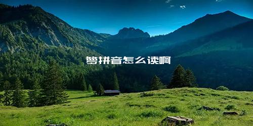 箥箩拼音怎么读啊
