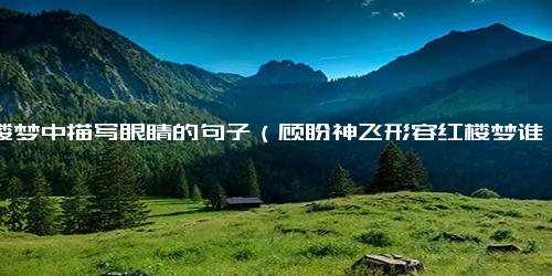 红楼梦中描写眼睛的句子（顾盼神飞形容红楼梦谁）.docx免费下载(word版可打印)