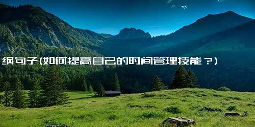 纲句子(如何提高自己的时间管理技能？)