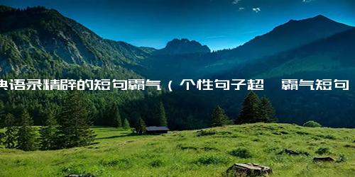 经典语录精辟的短句霸气（个性句子超拽霸气短句）