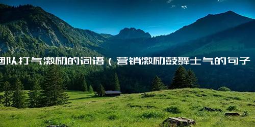 给团队打气激励的词语（营销激励鼓舞士气的句子）.docx-免费下载(word版可打印)