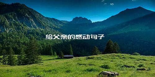 给父亲的感动句子