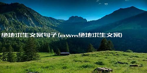 绝地求生文案句子(awm绝地求生文案)