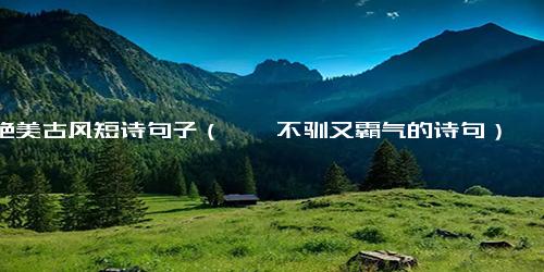 绝美古风短诗句子（桀骜不驯又霸气的诗句）