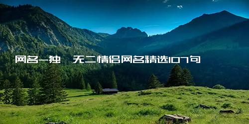 网名-独一无二情侣网名精选107句
