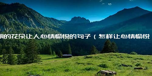 美丽的花朵让人心情愉悦的句子（怎样让心情愉悦）
