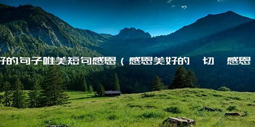 美好的句子唯美短句感恩（感恩美好的一切,感恩一切的美好）
