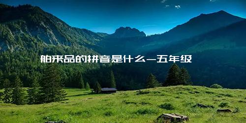 舶来品的拼音是什么-五年级