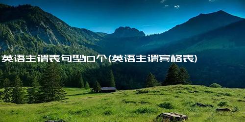 英语主谓表句型10个(英语主谓宾格表)