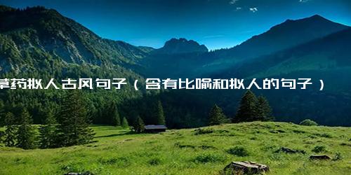 草药拟人古风句子（含有比喻和拟人的句子）