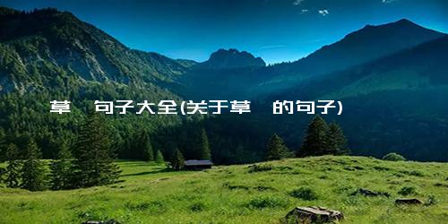 草莓句子大全(关于草莓的句子)