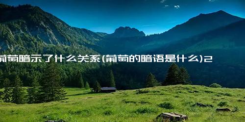 葡萄暗示了什么关系(葡萄的暗语是什么)2