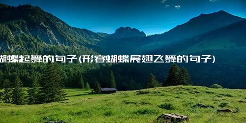蝴蝶起舞的句子(形容蝴蝶展翅飞舞的句子)
