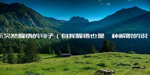 表示突然醒悟的句子（自我醒悟也是一种解脱的说说）