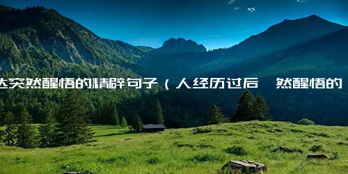 表达突然醒悟的精辟句子（人经历过后幡然醒悟的句子）