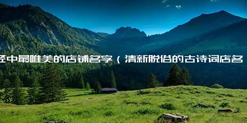 诗经中最唯美的店铺名字（清新脱俗的古诗词店名）
