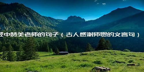 诗经中赞美老师的句子（古人感谢师恩的文言句）