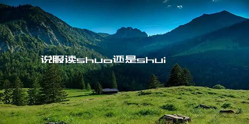 说服读shuo还是shui