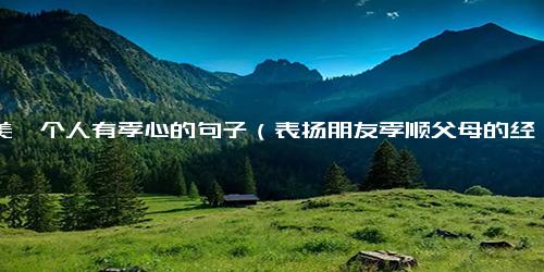 赞美一个人有孝心的句子（表扬朋友孝顺父母的经典句子）.docx-免费下载(word版可打印)