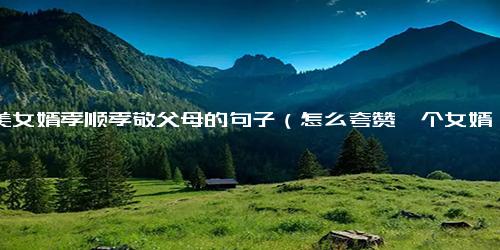 赞美女婿孝顺孝敬父母的句子（怎么夸赞一个女婿孝顺）.docx-免费下载(word版可打印)