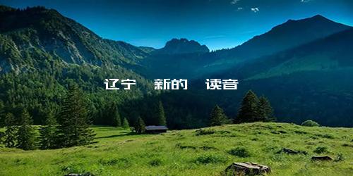 辽宁阜新的阜读音